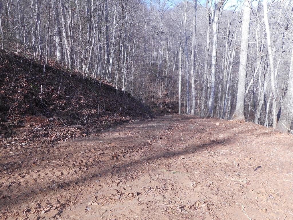Picture 8