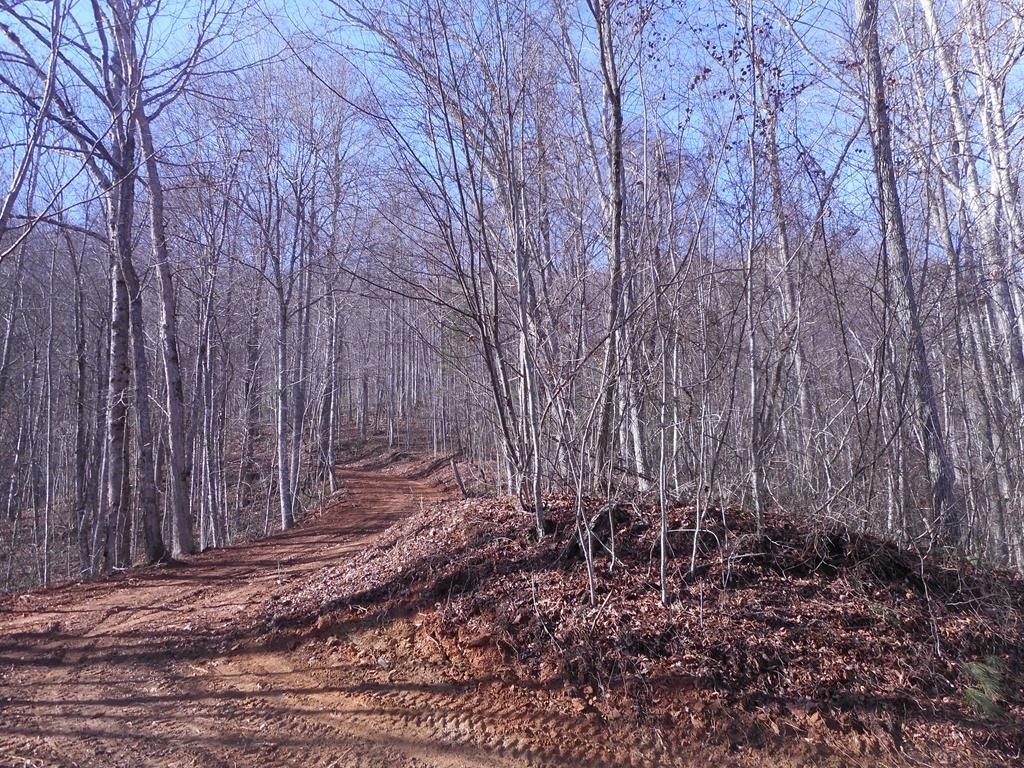 Picture 7
