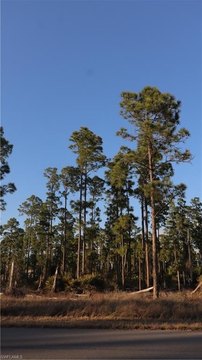 Lehigh Acres Land For Sale