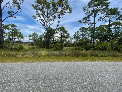 Alligator Point Coastal Retreat Lot