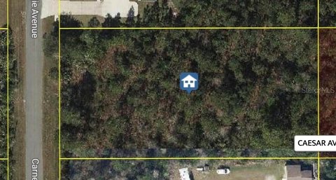 Orlando Land in Wedgefield