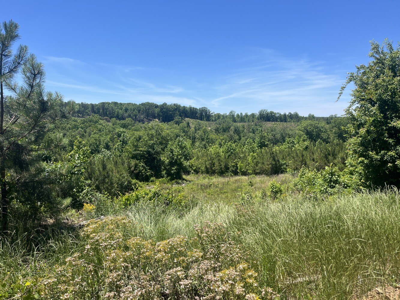 35 Acres Vacant Land