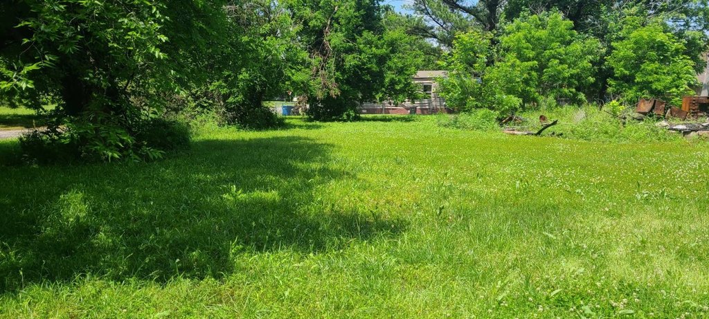 Picture 6