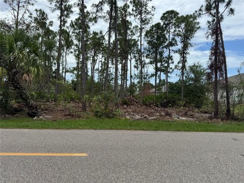 Vacant Residential Lot for Development