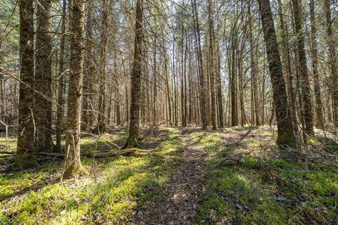LAND - Winter, WI