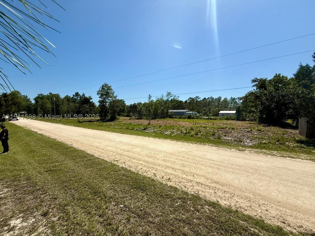 Picture 6