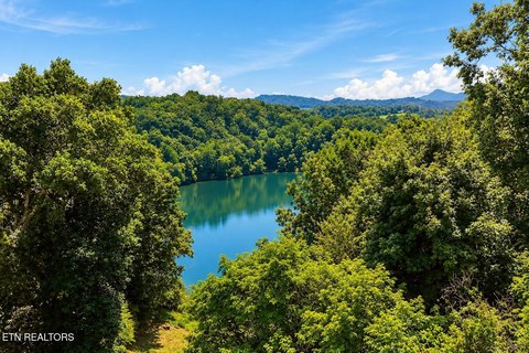 Lots & Acreage, Kodak, TN