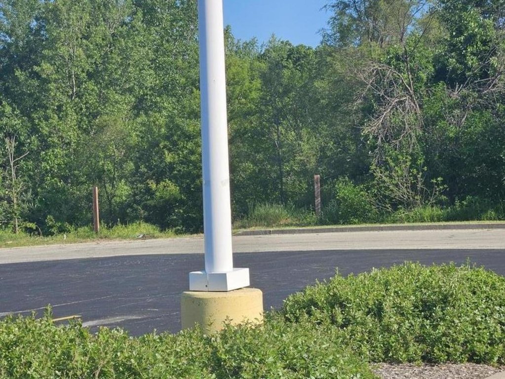 Picture 5