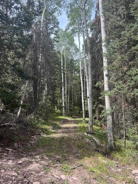 Secluded Lot in Cimarron, CO