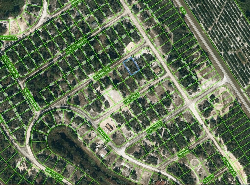 Land For Sale - Lake Placid