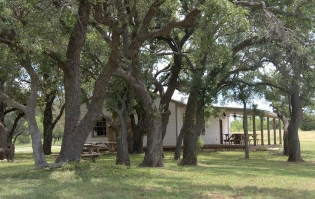 Picture 20
