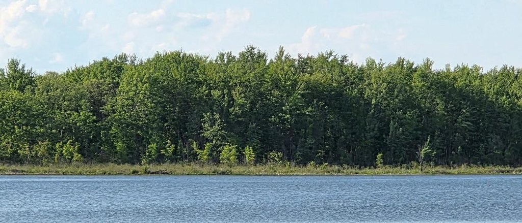 Picture 7