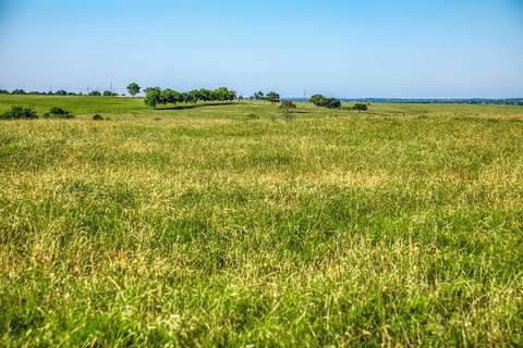 Acreage Homesite with Expansive Views