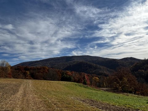 Hambleton WV Land For Sale
