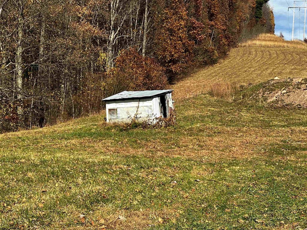 Picture 5