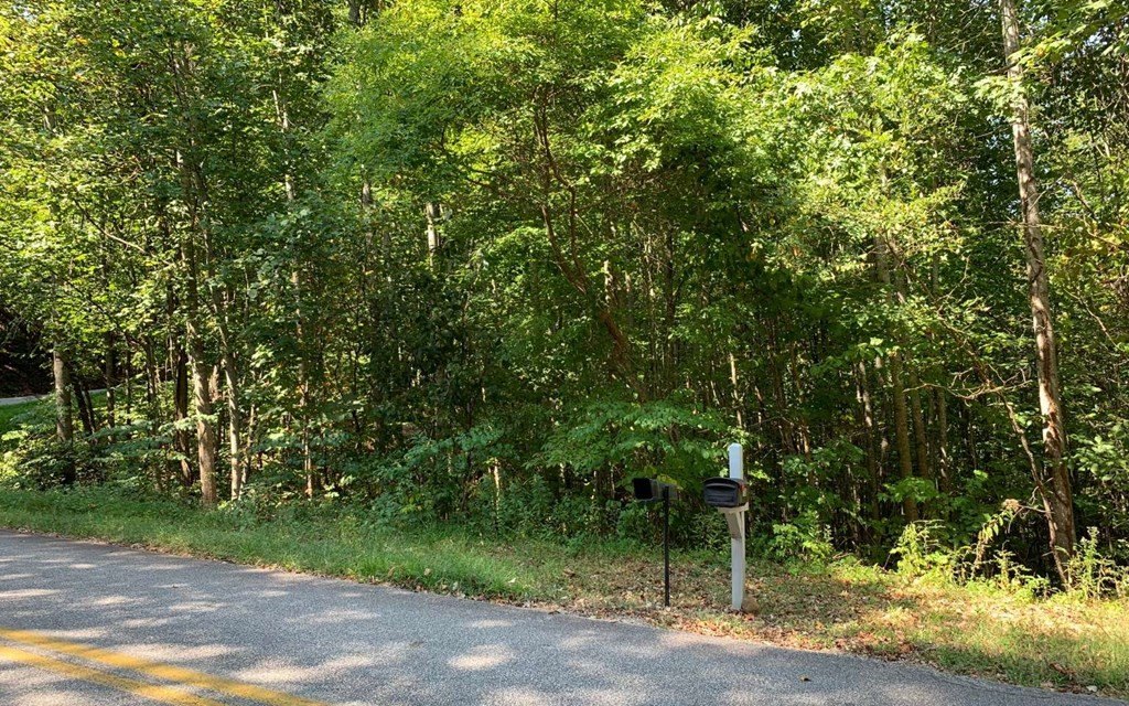 Picture 16