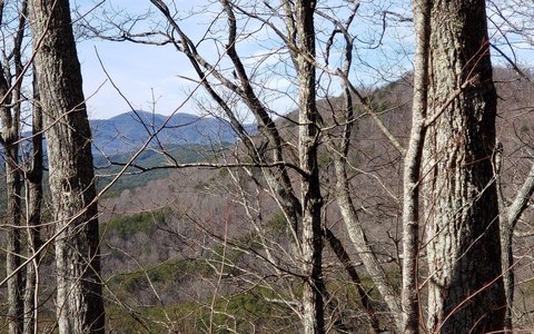 Copperhill Vacant Lot with View
