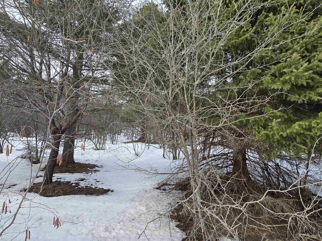 Picture 8