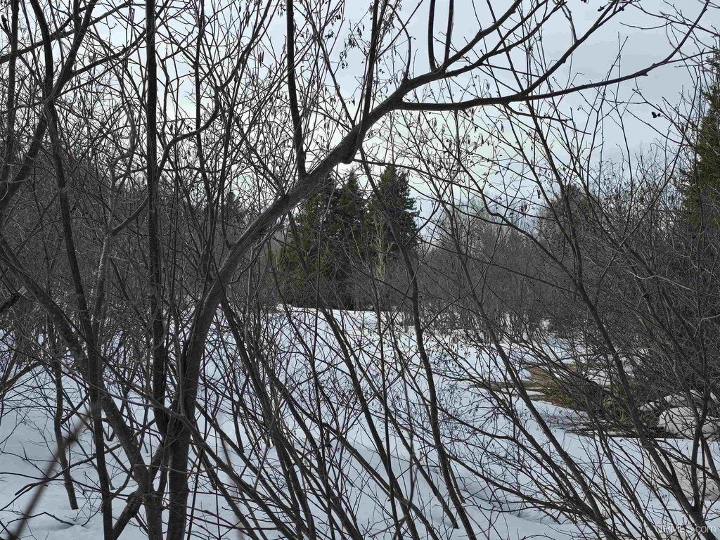 Picture 21