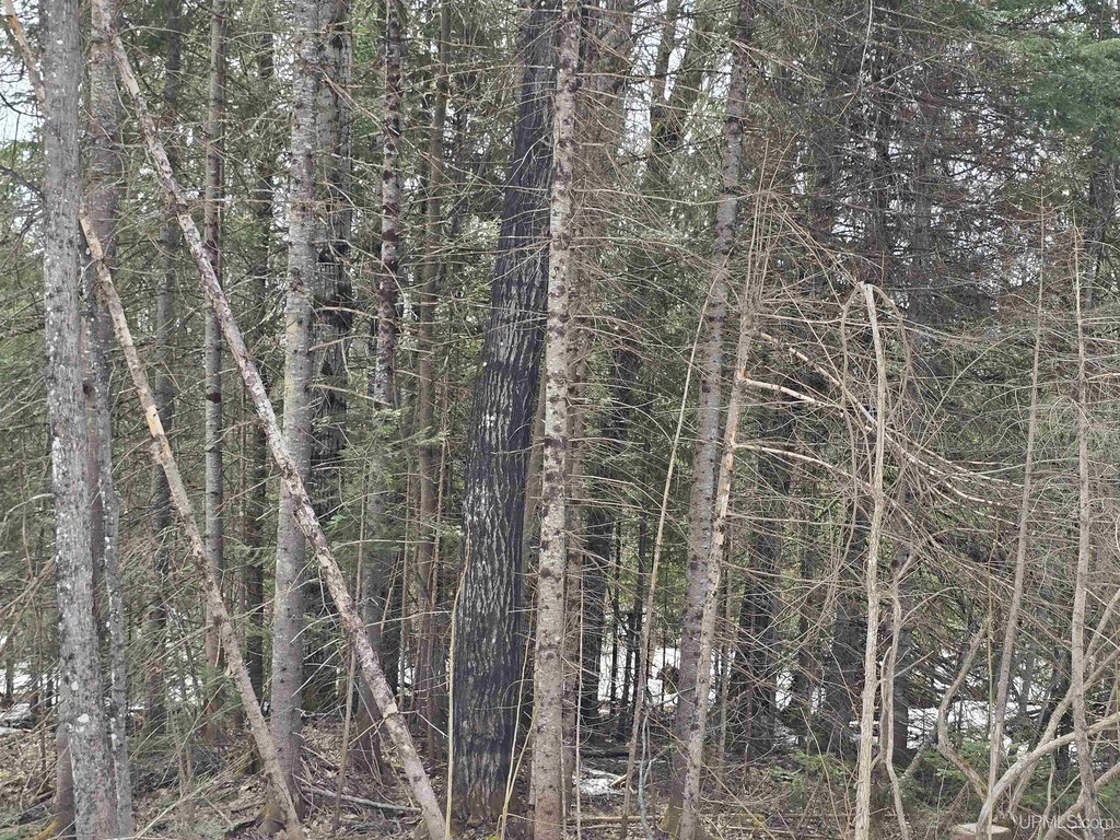 Picture 29