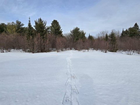Greenland Land Near Trout Streams