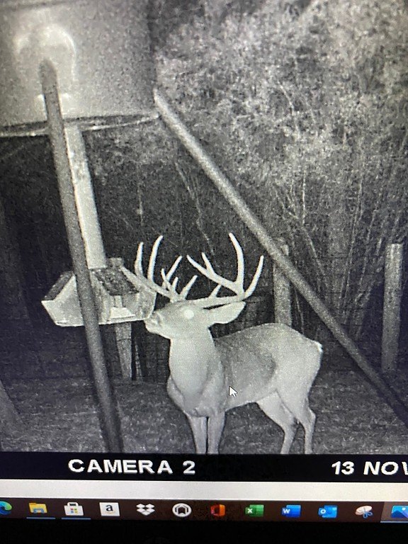 Picture 14