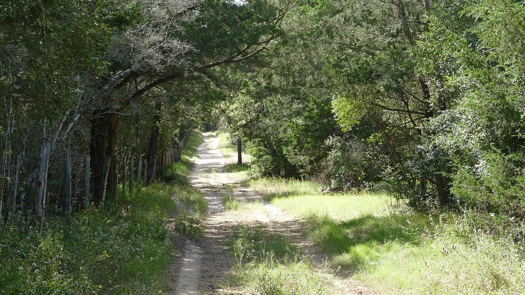 Picture 9