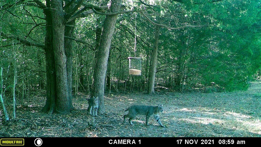 Picture 17