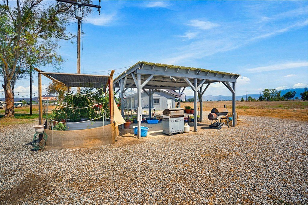 Picture 23