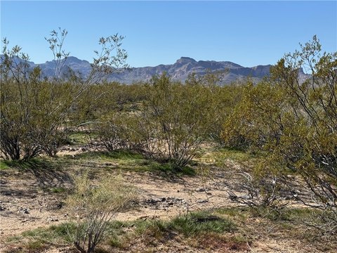 Golden Valley Vacant Land Parcel