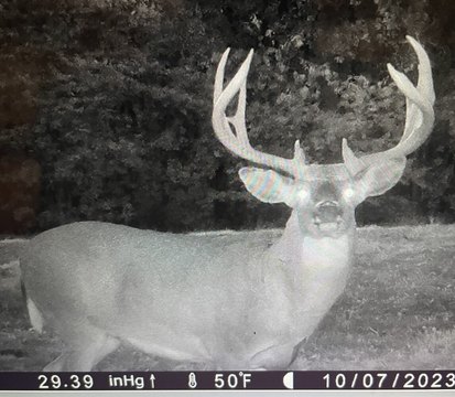 Pike County Hunting and Farmland