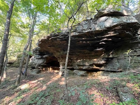 Vacant Land, Fox, AR
