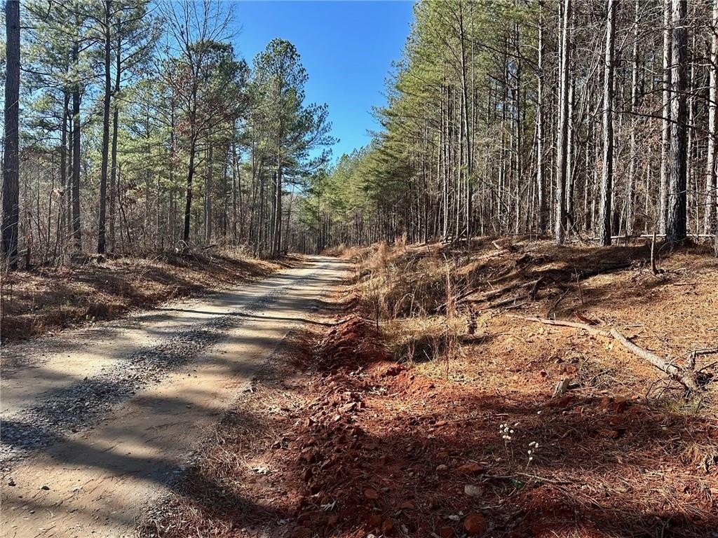 Gentle Land Near Downtown Dahlonega