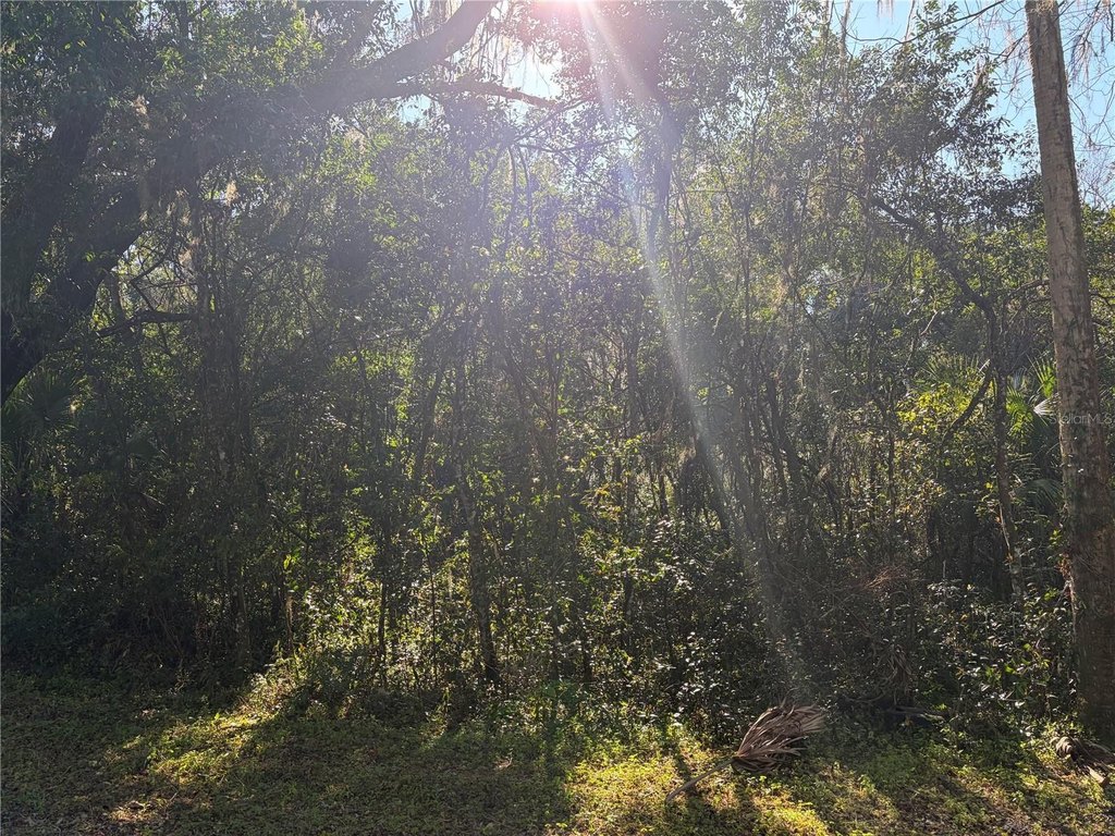 Picture 6