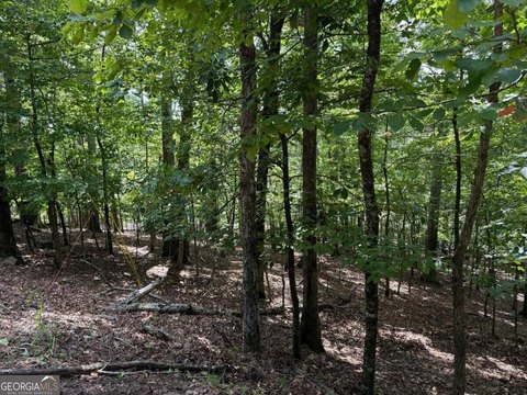 Land, Waleska, GA
