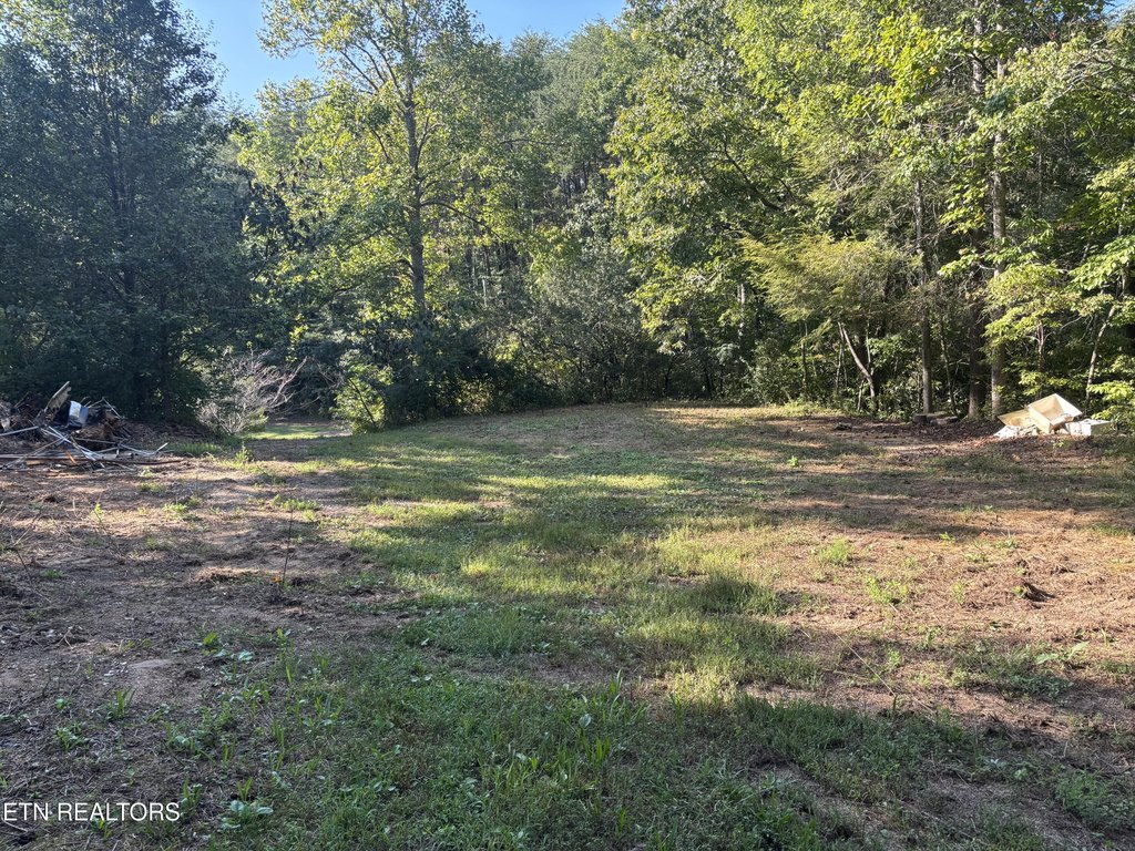 Picture 21