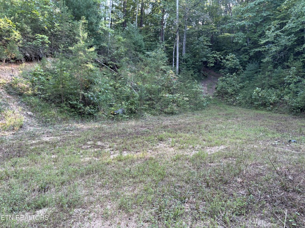 Picture 4