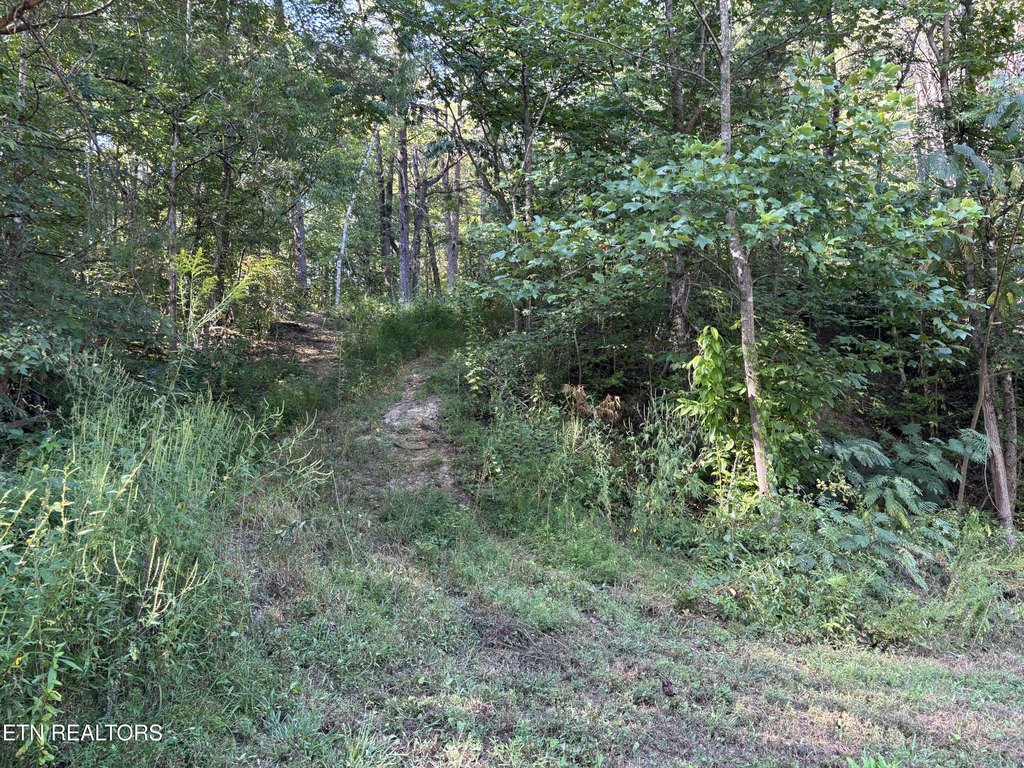 Picture 18