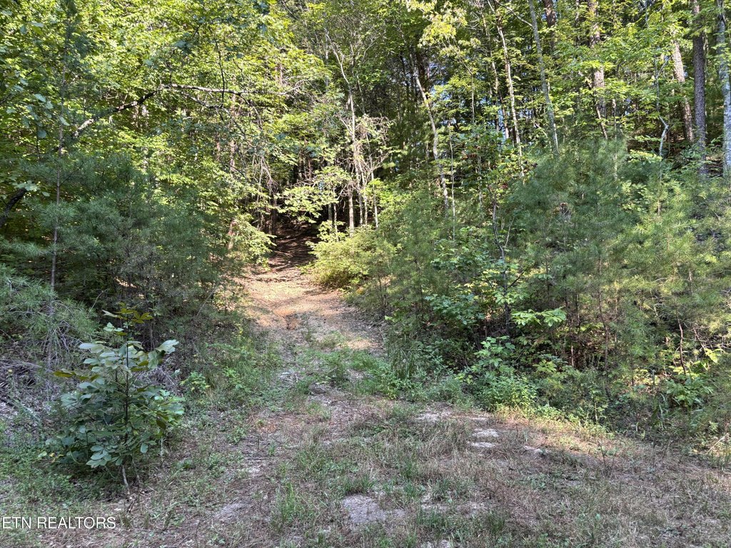Picture 17