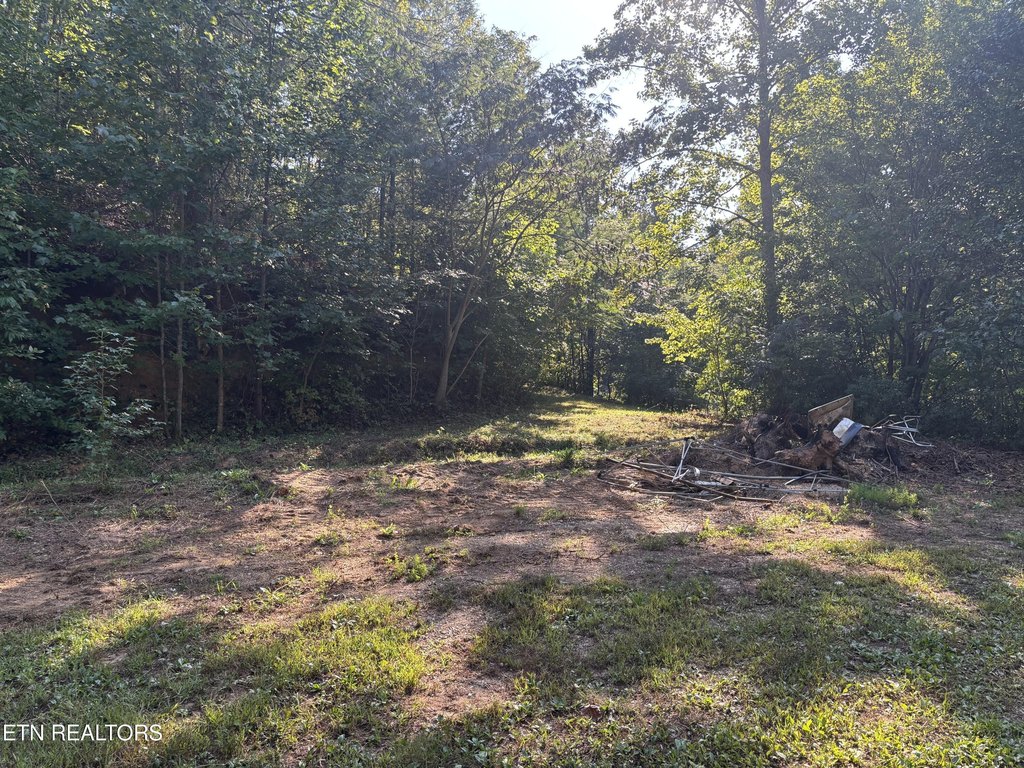 Picture 24