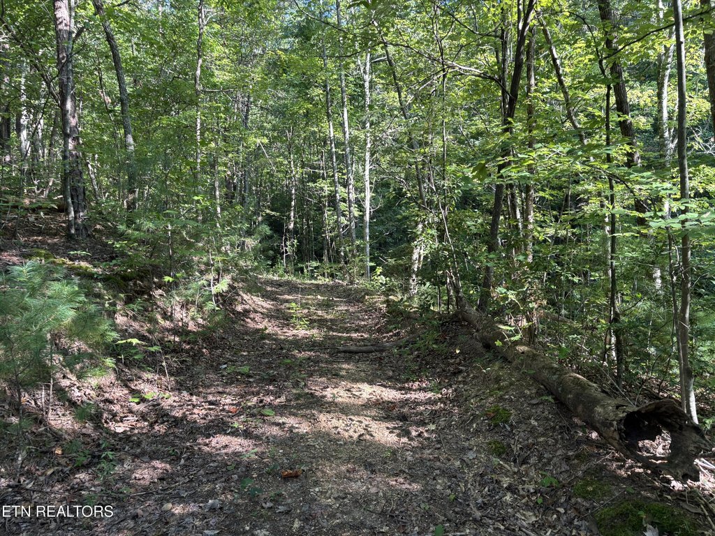 Picture 16