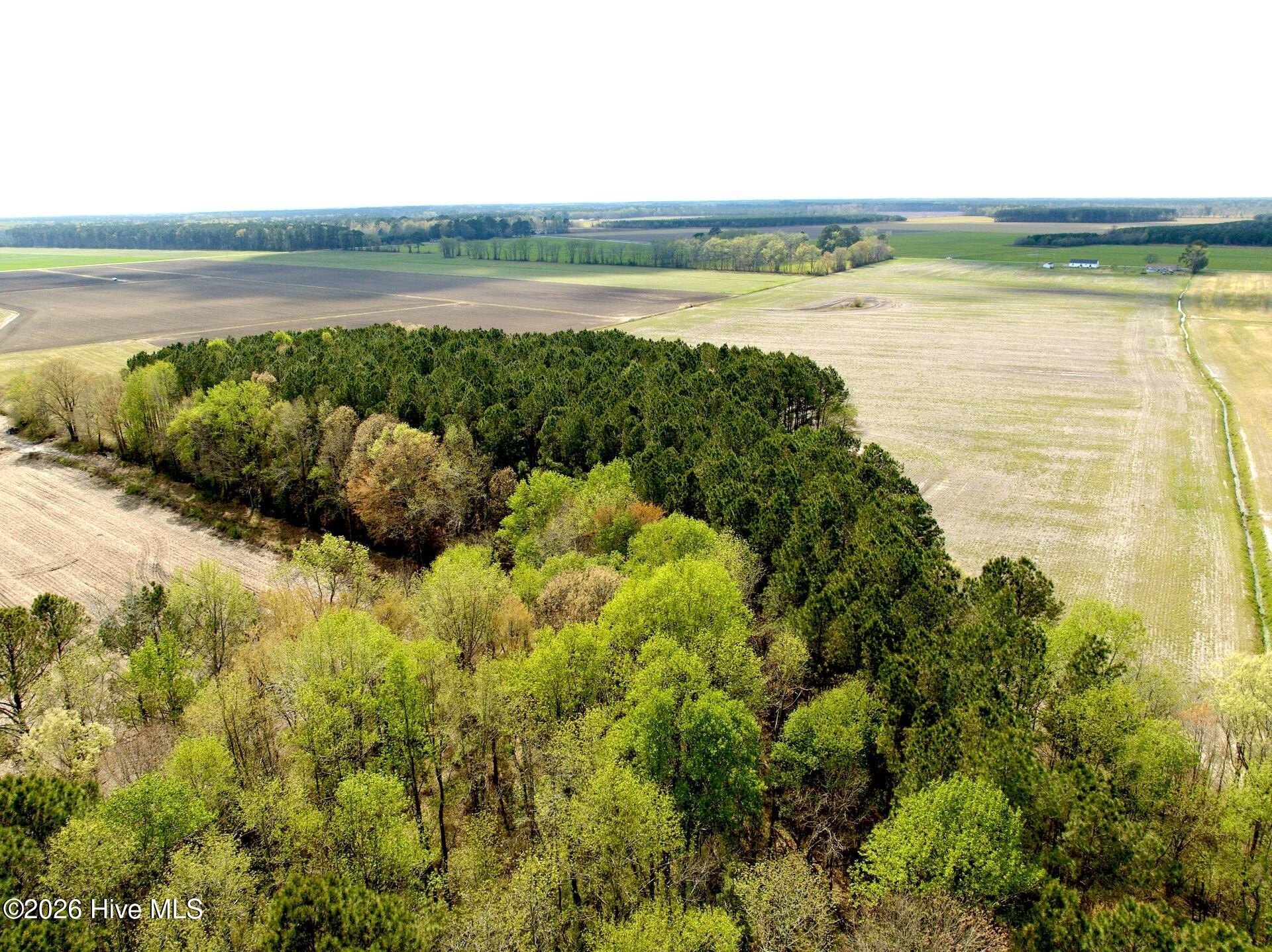 Farmland and Timber Tract