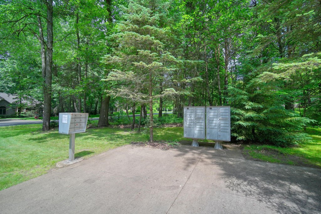 Picture 28