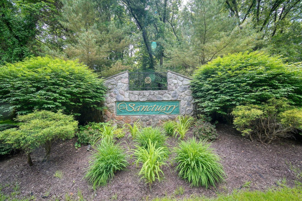 Picture 27