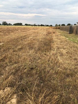 Land in Lindale School System