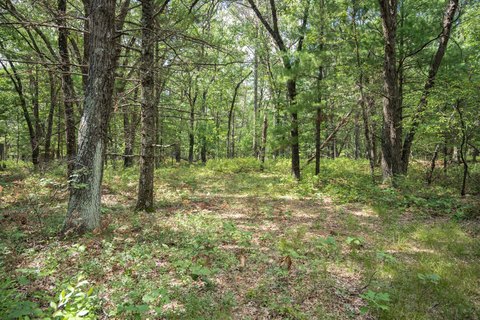 Lots & Acreage, New Lisbon, WI