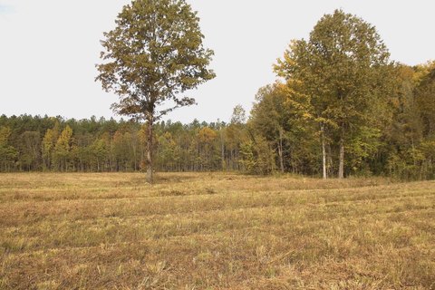 Recreational Hunting Land
