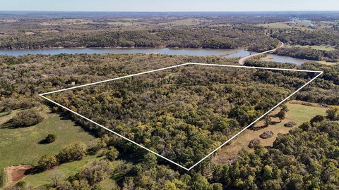 55 Acres of Hunting Land