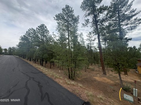 Heavily Treed Lot in Show Low