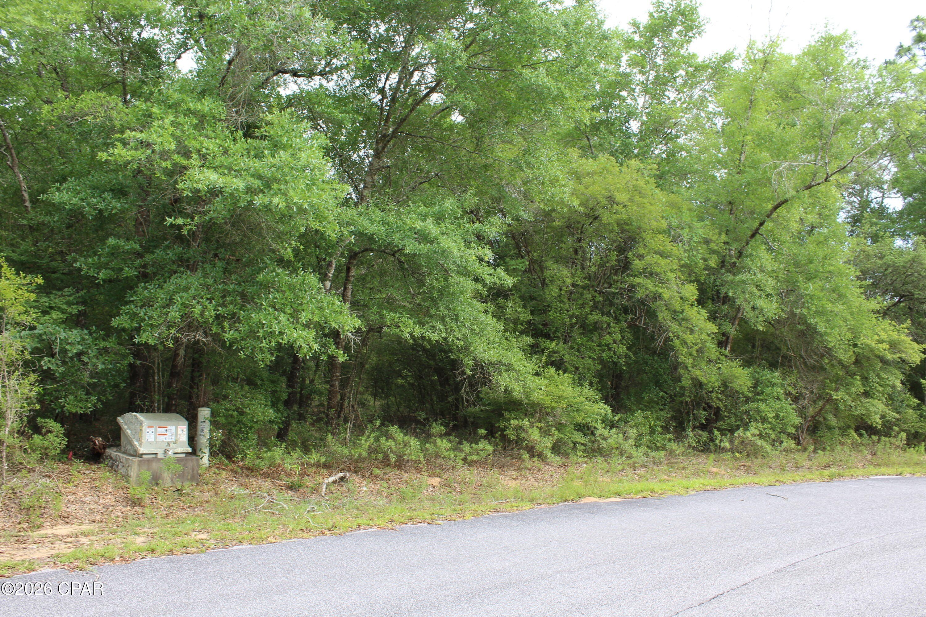 Buildable Land Near Holmes Creek